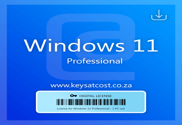 Windows 11  professional